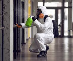 Professional Mold Remediation in Kutztown University, PA